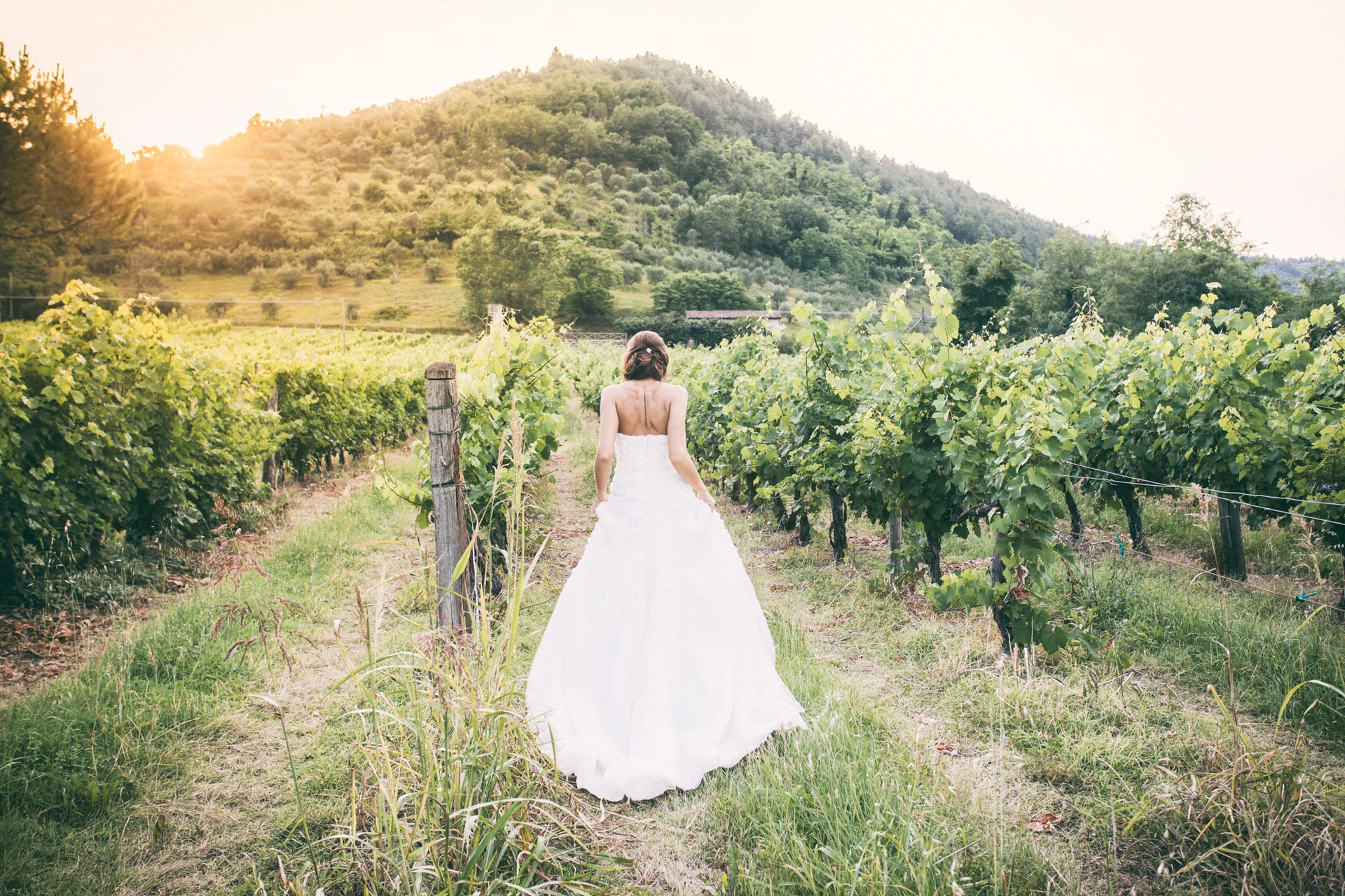 estilo raffaello marco zammarchi fotografia
